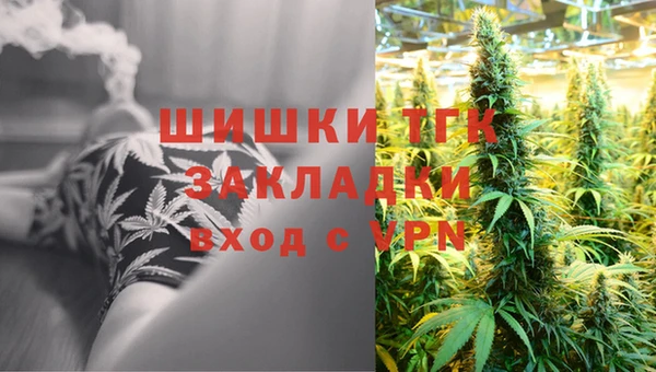 амф Касимов