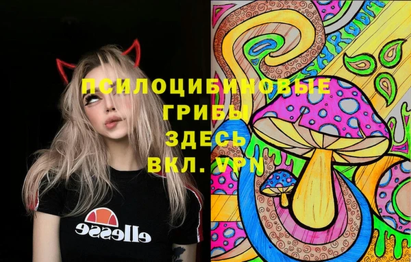 MDMA Каменка